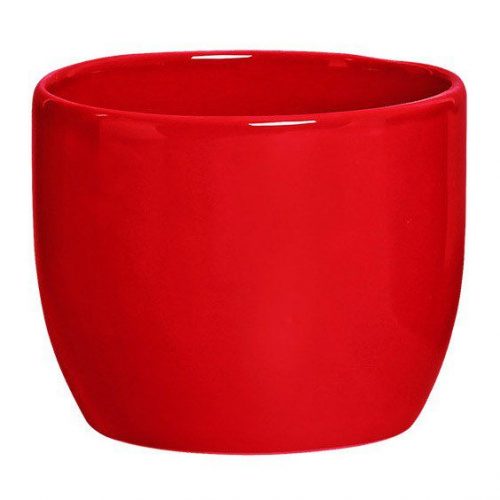 cachepo-bowl-tamanho-calanchoe-vermelho_6bda.jpeg