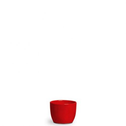 cachepo-red-bowl-pq-cherry_d198.jpeg