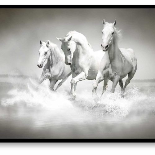 quadro-decorativo-cavalos-124-x-94-moldura-caixa-preta-kku0_04dc.jpeg
