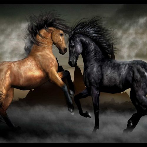 quadro-decorativo-cavalos-124-x-94-moldura-caixa-preta_62a2.jpeg