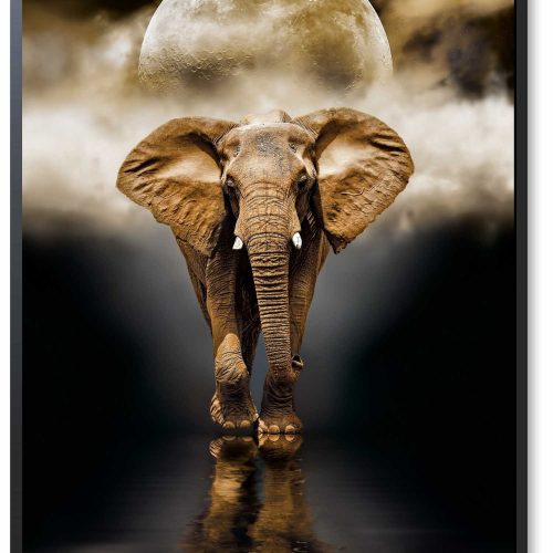 quadro-decorativo-elefante-115-x-85-moldura-caixa-preta_65b9.jpeg