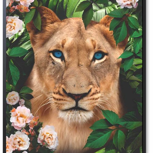 quadro-decorativo-leoa-115-x-85-moldura-caixa-preta-de-3cm_3fb3.jpeg